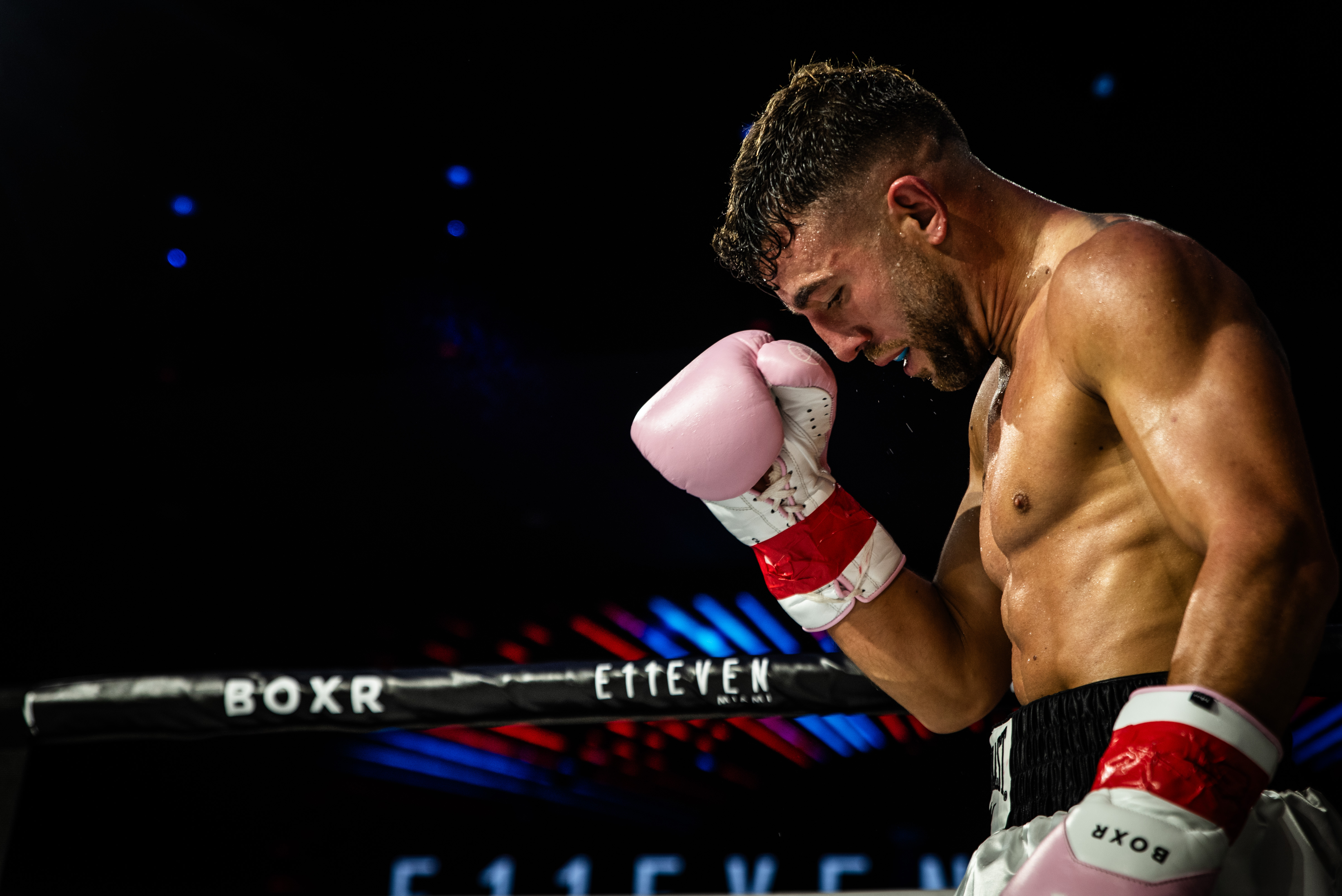 Boxer in the ring
